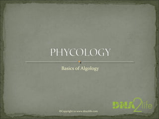 Basics of Algology
©Copyright to www.dna2life.com
 