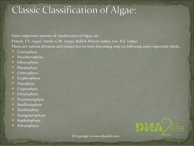 Smith Classification Classification Of Pteridophytes By Smith 1955 Bold MG Gregory L.