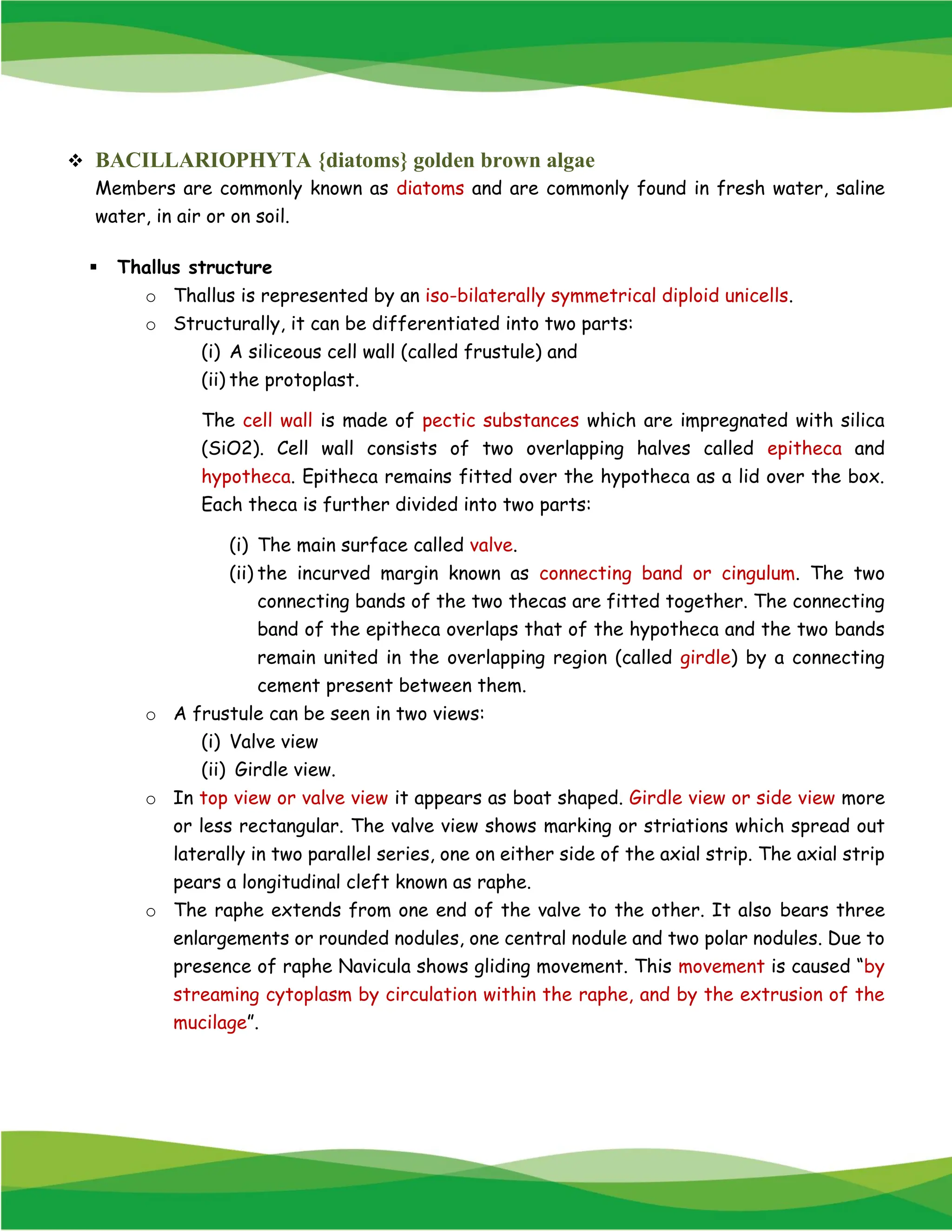 ❖ BACILLARIOPHYTA {diatoms} golden brown algae
Members are commonly known as diatoms and are commonly found in fresh water, saline
water, in air or on soil.
▪ Thallus structure
o Thallus is represented by an iso-bilaterally symmetrical diploid unicells.
o Structurally, it can be differentiated into two parts:
(i) A siliceous cell wall (called frustule) and
(ii) the protoplast.
The cell wall is made of pectic substances which are impregnated with silica
(SiO2). Cell wall consists of two overlapping halves called epitheca and
hypotheca. Epitheca remains fitted over the hypotheca as a lid over the box.
Each theca is further divided into two parts:
(i) The main surface called valve.
(ii) the incurved margin known as connecting band or cingulum. The two
connecting bands of the two thecas are fitted together. The connecting
band of the epitheca overlaps that of the hypotheca and the two bands
remain united in the overlapping region (called girdle) by a connecting
cement present between them.
o A frustule can be seen in two views:
(i) Valve view
(ii) Girdle view.
o In top view or valve view it appears as boat shaped. Girdle view or side view more
or less rectangular. The valve view shows marking or striations which spread out
laterally in two parallel series, one on either side of the axial strip. The axial strip
pears a longitudinal cleft known as raphe.
o The raphe extends from one end of the valve to the other. It also bears three
enlargements or rounded nodules, one central nodule and two polar nodules. Due to
presence of raphe Navicula shows gliding movement. This movement is caused “by
streaming cytoplasm by circulation within the raphe, and by the extrusion of the
mucilage”.
 