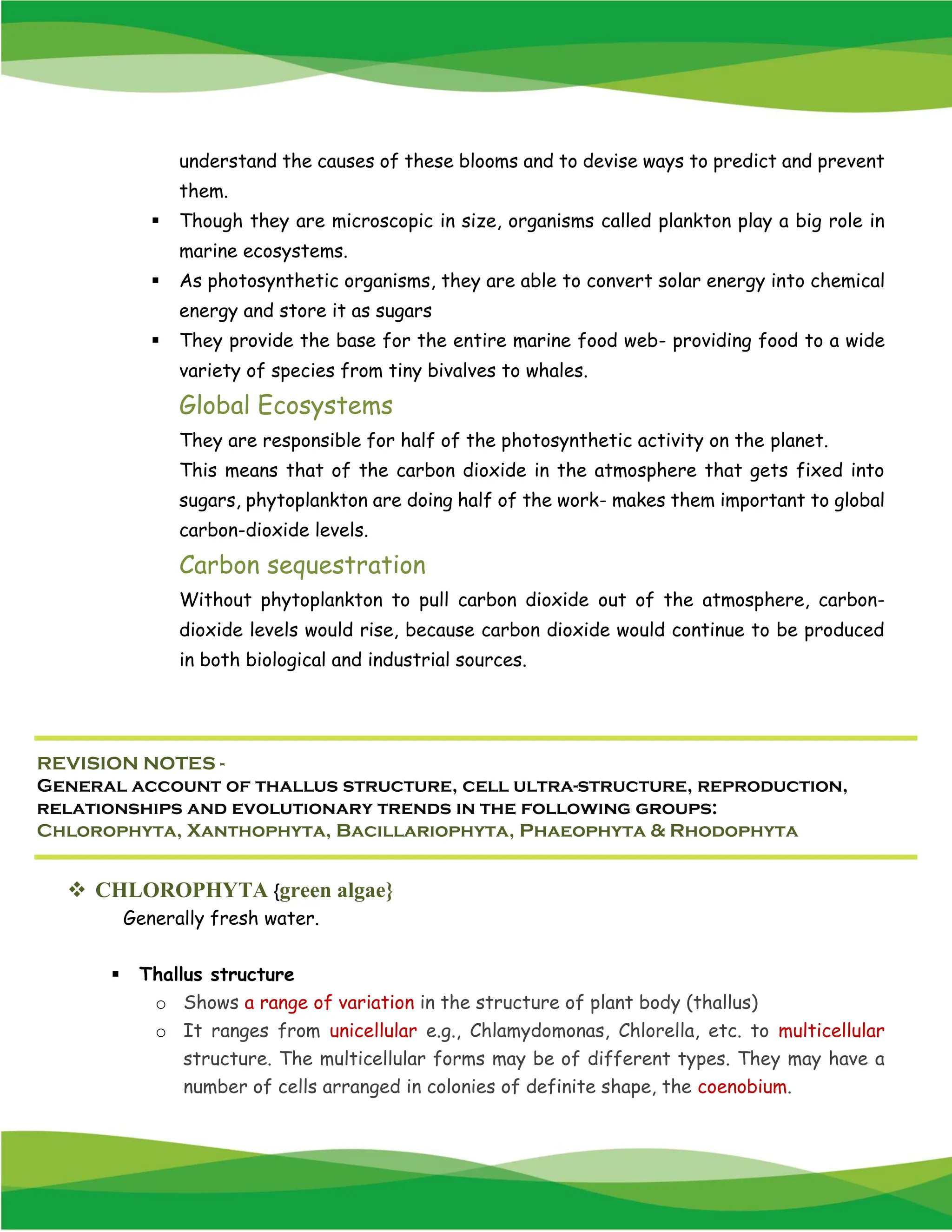 understand the causes of these blooms and to devise ways to predict and prevent
them.
▪ Though they are microscopic in size, organisms called plankton play a big role in
marine ecosystems.
▪ As photosynthetic organisms, they are able to convert solar energy into chemical
energy and store it as sugars
▪ They provide the base for the entire marine food web- providing food to a wide
variety of species from tiny bivalves to whales.
Global Ecosystems
They are responsible for half of the photosynthetic activity on the planet.
This means that of the carbon dioxide in the atmosphere that gets fixed into
sugars, phytoplankton are doing half of the work- makes them important to global
carbon-dioxide levels.
Carbon sequestration
Without phytoplankton to pull carbon dioxide out of the atmosphere, carbon-
dioxide levels would rise, because carbon dioxide would continue to be produced
in both biological and industrial sources.
❖ CHLOROPHYTA {green algae}
Generally fresh water.
▪ Thallus structure
o Shows a range of variation in the structure of plant body (thallus)
o It ranges from unicellular e.g., Chlamydomonas, Chlorella, etc. to multicellular
structure. The multicellular forms may be of different types. They may have a
number of cells arranged in colonies of definite shape, the coenobium.
REVISION NOTES -
General account of thallus structure, cell ultra-structure, reproduction,
relationships and evolutionary trends in the following groups:
Chlorophyta, Xanthophyta, Bacillariophyta, Phaeophyta & Rhodophyta
 