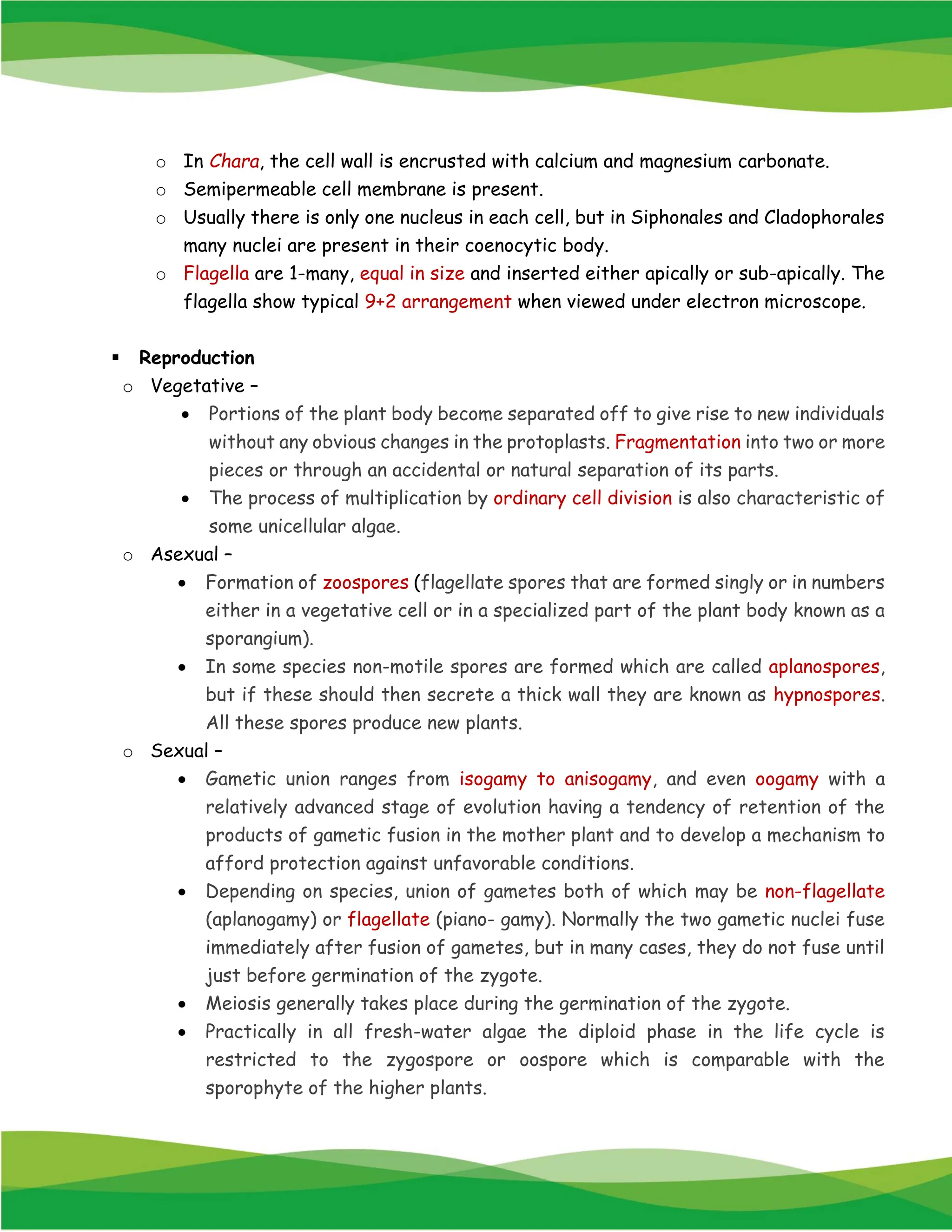 o In Chara, the cell wall is encrusted with calcium and magnesium carbonate.
o Semipermeable cell membrane is present.
o Usually there is only one nucleus in each cell, but in Siphonales and Cladophorales
many nuclei are present in their coenocytic body.
o Flagella are 1-many, equal in size and inserted either apically or sub-apically. The
flagella show typical 9+2 arrangement when viewed under electron microscope.
▪ Reproduction
o Vegetative –
• Portions of the plant body become separated off to give rise to new individuals
without any obvious changes in the protoplasts. Fragmentation into two or more
pieces or through an accidental or natural separation of its parts.
• The process of multiplication by ordinary cell division is also characteristic of
some unicellular algae.
o Asexual –
• Formation of zoospores (flagellate spores that are formed singly or in numbers
either in a vegetative cell or in a specialized part of the plant body known as a
sporangium).
• In some species non-motile spores are formed which are called aplanospores,
but if these should then secrete a thick wall they are known as hypnospores.
All these spores produce new plants.
o Sexual –
• Gametic union ranges from isogamy to anisogamy, and even oogamy with a
relatively advanced stage of evolution having a tendency of retention of the
products of gametic fusion in the mother plant and to develop a mechanism to
afford protection against unfavorable conditions.
• Depending on species, union of gametes both of which may be non-flagellate
(aplanogamy) or flagellate (piano- gamy). Normally the two gametic nuclei fuse
immediately after fusion of gametes, but in many cases, they do not fuse until
just before germination of the zygote.
• Meiosis generally takes place during the germination of the zygote.
• Practically in all fresh-water algae the diploid phase in the life cycle is
restricted to the zygospore or oospore which is comparable with the
sporophyte of the higher plants.
 