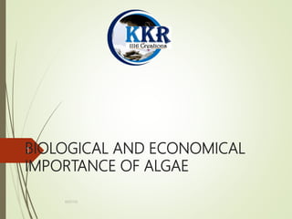BIOLOGICAL AND ECONOMICAL
IMPORTANCE OF ALGAE
KKR1116
1
 