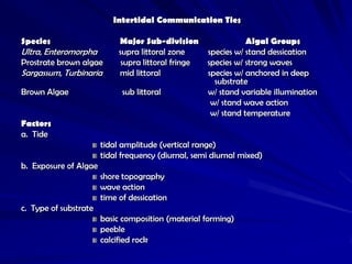 Intertidal Communication Ties

Species                     Major Sub-division                  Algal Groups
Ultra, Enteromorpha         supra littoral zone      species w/ stand dessication
Prostrate brown algae        supra littoral fringe   species w/ strong waves
Sargassum, Turbinaria       mid littoral             species w/ anchored in deep
                                                       substrate
Brown Algae                  sub littoral            w/ stand variable illumination
                                                      w/ stand wave action
                                                      w/ stand temperature
Factors
a. Tide
                       tidal amplitude (vertical range)
                       tidal frequency (diurnal, semi diurnal mixed)
b. Exposure of Algae
                       shore topography
                       wave action
                       time of dessication
c. Type of substrate
                       basic composition (material forming)
                       peeble
                       calcified rock
 