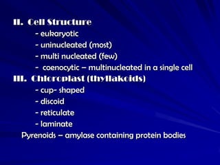 II. Cell Structure
      - eukaryotic
      - uninucleated (most)
      - multi nucleated (few)
      - coenocytic – multinucleated in a single cell
III. Chloroplast (thyllakoids)
      - cup- shaped
      - discoid
      - reticulate
      - laminate
  Pyrenoids – amylase containing protein bodies
 