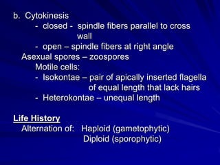 b. Cytokinesis
     - closed - spindle fibers parallel to cross
                 wall
     - open – spindle fibers at right angle
  Asexual spores – zoospores
     Motile cells:
     - Isokontae – pair of apically inserted flagella
                   of equal length that lack hairs
     - Heterokontae – unequal length

Life History
  Alternation of: Haploid (gametophytic)
                  Diploid (sporophytic)
 