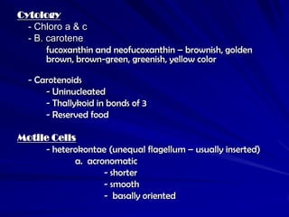 Cytology
  - Chloro a & c
  - B. carotene
       fucoxanthin and neofucoxanthin – brownish, golden
       brown, brown-green, greenish, yellow color

  - Carotenoids
      - Uninucleated
      - Thallykoid in bonds of 3
      - Reserved food

Motile Cells
     - heterokontae (unequal flagellum – usually inserted)
            a. acronomatic
                   - shorter
                   - smooth
                   - basally oriented
 
