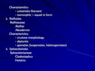 Characteristics:
       - uniseriate filament
       - isomorphic – equal in form
2. Ralfsiales
   Ralfsiaceae
       Ralfsia
       Neoderma
   Characteristics:
       - crustose morphology
       - diplontic
       - gametes (isogametes, heterogametes)
3. Sphacelariales
   Sphacelariaceae
       Clodostaphus
       Holotrix
 