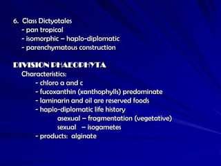 6. Class Dictyotales
   - pan tropical
   - isomorphic – haplo-diplomatic
   - parenchymatous construction

DIVISION PHAEOPHYTA
  Characteristics:
      - chloro a and c
      - fucoxanthin (xanthophylls) predominate
      - laminarin and oil are reserved foods
      - haplo-diplomatic life history
              asexual – fragmentation (vegetative)
              sexual – isogametes
      - products: alginate
 