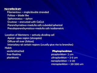 Morphology
 Filamentous – single/double stranded
 Foliose – blade like
 Siphonoceous – siphon
 Crustose – encrusted with CaCo3
 Parenchymatous-medulla cells cuboidal/spherical
 Pseudoparenchymatous-medulla cells isodiametric

Location of Meristems – actively dividing cell
  Apical- apex region (elongate)
  Diffuse-all over (foliose)
  Intercalary-at certain regions (usually give rise to branches)
Habit:
 sessile/attached                           Phytoplankton
 free-floating                             picoplankton- 2 um
 planktonic                                ultraplankton – 2-5 um
                                           nanoplankton – 5-20
                                           microplankton – 20-200 um
 