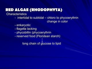 RED ALGAE (RHODOPHYTA)
Characteristics
     - intertidal to subtidal – chloro to phycoerythrin
                                change in color
     - enkaryotic
     - flagella lacking
     - phycobillin (phycoerythrin
     - reserved food (Floridean starch)

            long chain of glucose to lipid
 
