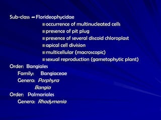 Sub-class – Florideophycidae
                 occurrence of multinucleated cells
                 presence of pit plug
                 presence of several discoid chloroplast
                 apical cell division
                 multicellular (macroscopic)
                 sexual reproduction (gametophytic plant)
Order: Bangiales
   Family: Bangiaceae
   Genera: Porphyra
          Bangia
Order: Palmariales
   Genera: Rhodymenia
 