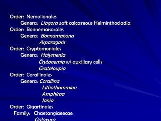 Order: Nemalionales
    Genera: Liagora ;soft calcareous Helminthocladia
Order: Bonnemaisorales
    Genera: Bonnamaisona
            Asparagosis
Order: Cryptomoniales
    Genera: Halymenia
            Crytonemia w/ auxiliary cells
            Grateloupia
Order: Corallinales
    Genera: Corallina
             Lithothammion
             Amphiroa
             Jania
Order: Gigartinales
 Family: Chaetangiaeecae
 