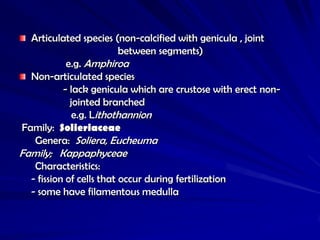 Articulated species (non-calcified with genicula , joint
                       between segments)
          e.g. Amphiroa
  Non-articulated species
         - lack genicula which are crustose with erect non-
           jointed branched
            e.g. Lithothannion
Family: Solieriaceae
   Genera: Soliera, Eucheuma
Family; Kappaphyceae
   Characteristics:
  - fission of cells that occur during fertilization
  - some have filamentous medulla
 