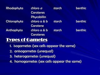 Rhodophyta    chloro a       starch     benthic
              Carotenes
              Phycobillin
Chlorophyta   chloro a & b   starch     benthic
              Carotene
Anthophyta    chloro a & b   starch     benthic
              Carotenes
Types of Gametes
  1. isogametes (sex cells appear the same)
  2. anisogametes (unequal)
  3. heterogametes (unequal)
  4. homogametes (sex cells appear the same)
 