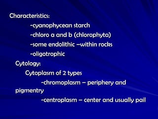 Characteristics:
       -cyanophycean starch
       -chloro a and b (chlorophyta)
       -some endolithic –within rocks
       -oligotrophic
  Cytology:
     Cytoplasm of 2 types
            -chromoplasm – periphery and
  pigmentry
            -centroplasm – center and usually pail
 
