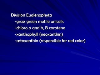 Division Euglenophyta
  -grass green motile unicells
  -chloro a and b, B carotene
  -xanthophyll (neoxanthin)
  -astaxanthin (responsible for red color)
 