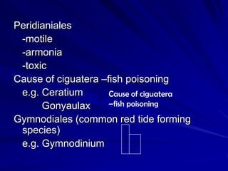 Peridianiales
 -motile
 -armonia
 -toxic
Cause of ciguatera –fish poisoning
 e.g. Ceratium       Cause of ciguatera
      Gonyaulax      –fish poisoning
Gymnodiales (common red tide forming
 species)
 e.g. Gymnodinium
 