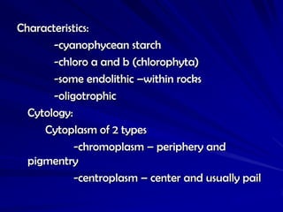Characteristics:
       -cyanophycean starch
       -chloro a and b (chlorophyta)
       -some endolithic –within rocks
  ...