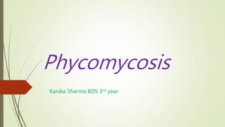 Kanika Sharma BDS 3rd year
Phycomycosis
 