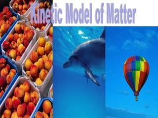 Kinetic Model of Matter 