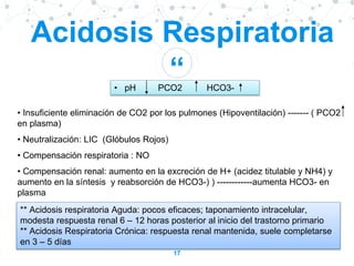 “
17
Acidosis Respiratoria
• pH PCO2 HCO3-
• Insuficiente eliminación de CO2 por los pulmones (Hipoventilación) ------- ( PCO2
en plasma)
• Neutralización: LIC (Glóbulos Rojos)
• Compensación respiratoria : NO
• Compensación renal: aumento en la excreción de H+ (acidez titulable y NH4) y
aumento en la síntesis y reabsorción de HCO3-) ) ------------aumenta HCO3- en
plasma
** Acidosis respiratoria Aguda: pocos eficaces; taponamiento intracelular,
modesta respuesta renal 6 – 12 horas posterior al inicio del trastorno primario
** Acidosis Respiratoria Crónica: respuesta renal mantenida, suele completarse
en 3 – 5 días
 