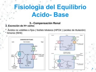 Fisiologia del Equilibrio
Acido- Base
9
3.- Compensación Renal
2. Excreción de H+ como:
* Ácidos no volátiles o fijos ( fosfato bibásico (HPO4 ) (acidez de titulación)
* Amonio (NH4)
 