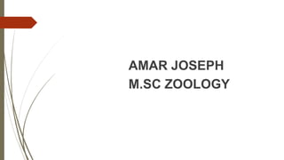AMAR JOSEPH
M.SC ZOOLOGY
 
