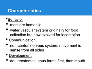 Characteristics
•Behavior
• most are immobile
• water vascular system originally for food
    collection but now evolved for locomotion
•   Communication
•   non-central nervous system: movement is
    sense from all sides
•   Development
•   deuterostomes: anus forms first, then mouth
 