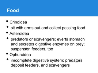 Food

• Crinoidea
• sit with arms out and collect passing food
• Asteroidea
• predators or scavengers; everts stomach
    and secretes digestive enzymes on prey;
    suspenson feeders, too
•   Ophuroidea
•   imcomplete digestive system; predators,
    deposit feeders, and scavengers
 