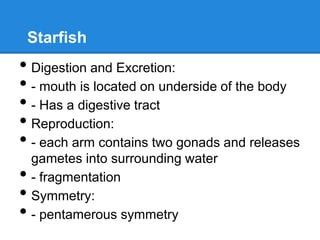 Starfish
• Digestion and Excretion:
• - mouth is located on underside of the body
• - Has a digestive tract
• Reproduction:
• - each arm contains two gonads and releases
    gametes into surrounding water
•   - fragmentation
•   Symmetry:
•   - pentamerous symmetry
 