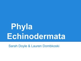 Phyla
Echinodermata
Sarah Doyle & Lauren Dombkoski
 