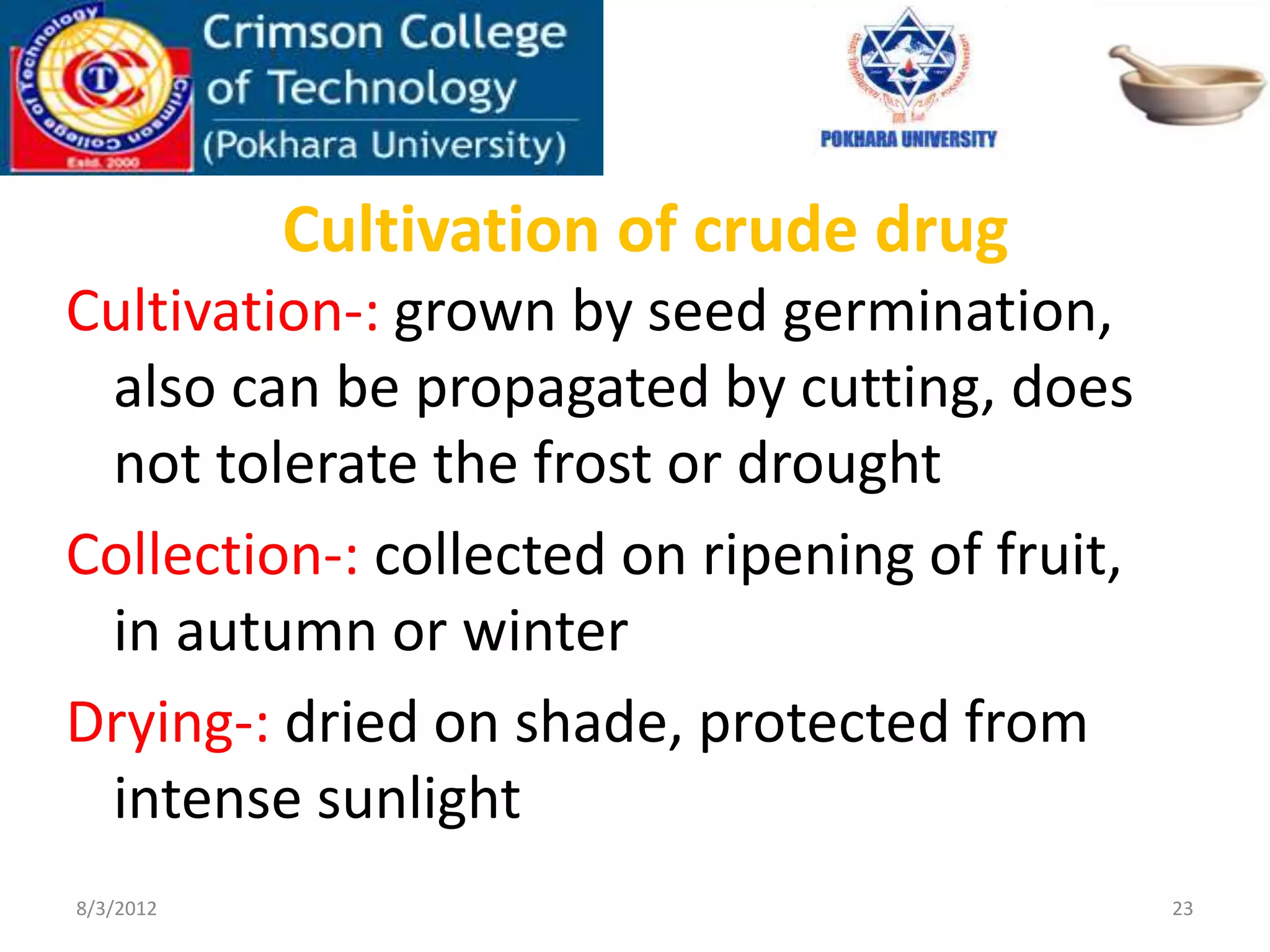 Cultivation of crude drug
Cultivation-: grown by seed germination,
also can be propagated by cutting, does
not tolerate the frost or drought
Collection-: collected on ripening of fruit,
in autumn or winter
Drying-: dried on shade, protected from
intense sunlight
8/3/2012 23
 
