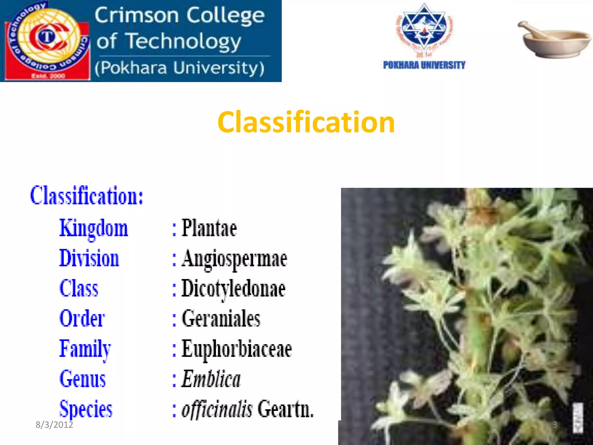 Classification
8/3/2012 3
 