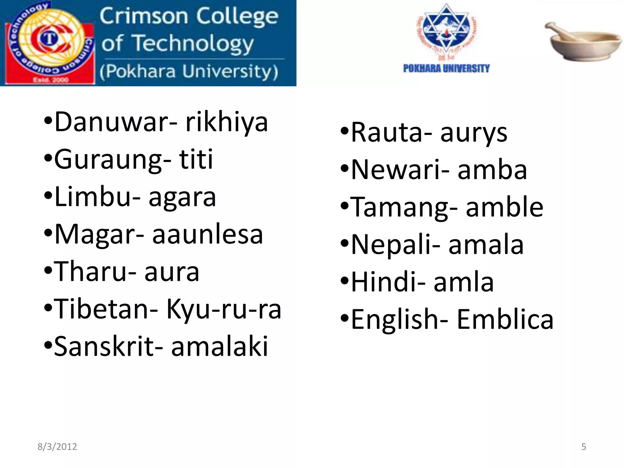 •Danuwar- rikhiya
•Guraung- titi
•Limbu- agara
•Magar- aaunlesa
•Tharu- aura
•Tibetan- Kyu-ru-ra
•Sanskrit- amalaki
•Rauta- aurys
•Newari- amba
•Tamang- amble
•Nepali- amala
•Hindi- amla
•English- Emblica
8/3/2012 5
 