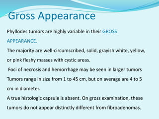 Gross Appearance
Phyllodes tumors are highly variable in their GROSS
APPEARANCE.
The majority are well-circumscribed, solid, grayish white, yellow,
or pink fleshy masses with cystic areas.
Foci of necrosis and hemorrhage may be seen in larger tumors
Tumors range in size from 1 to 45 cm, but on average are 4 to 5
cm in diameter.
A true histologic capsule is absent. On gross examination, these
tumors do not appear distinctly different from fibroadenomas.
 