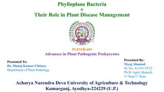 Phylloplane Bacteria
&
Their Role in Plant Disease Management
PLPATH-603
Advances in Plant Pathogenic Prokaryotes
Presented By:
Niyaj Ahamad
Id. No. A1163/19/22
Ph.D. Agril. Biotech.
1st Year/1st Sem.
Presented To:
Dr. Manoj Kumar Chitara
Department of Plant Pathology
Acharya Narendra Deva University of Agriculture & Technology
Kumarganj, Ayodhya-224229 (U.P.)
 