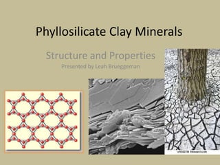 Phyllosilicate Clay Minerals
Structure and Properties
Presented by Leah Brueggeman
 