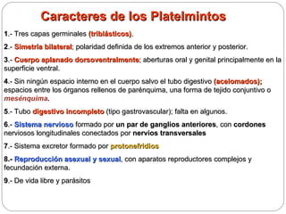 Caracteres de los Platelmintos 1 .- Tres capas germinales  (triblásticos) . 2 .-  Simetría bilateral ; polaridad definida de los extremos anterior y posterior. 3 .-  Cuerpo aplanado dorsoventralmente ; aberturas oral y genital principalmente en la superficie ventral. 4 .- Sin ningún espacio interno en el cuerpo salvo el tubo digestivo  (acelomados);  espacios entre los órganos rellenos de parénquima, una forma de tejido conjuntivo o  mesénquima . 5 .- Tubo  digestivo incompleto  (tipo gastrovascular); falta en algunos. 6 .-  Sistema nervioso  formado por  un par de ganglios anteriores , con  cordones  nerviosos longitudinales conectados por  nervios transversales 7 .-   Sistema excretor formado por  protonefridios 8.-  Reproducción asexual y sexual , con aparatos reproductores complejos y fecundación externa. 9 .- De vida libre y parásitos 