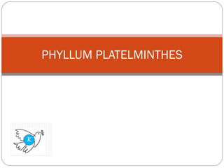 PHYLLUM PLATELMINTHES 