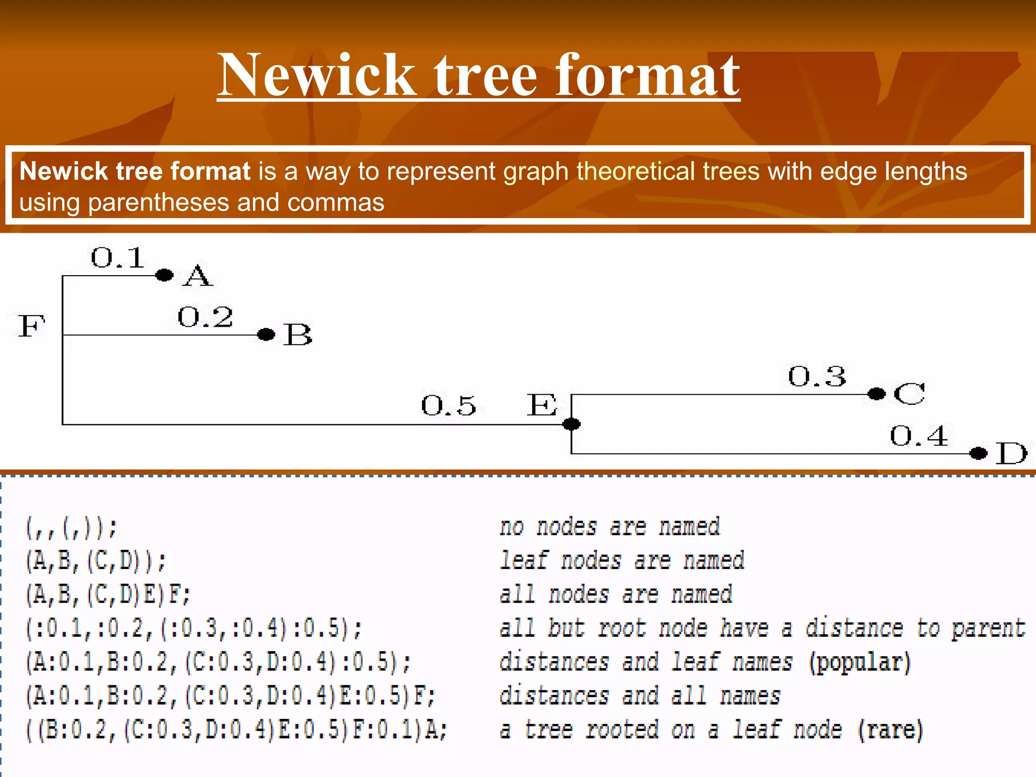 Newick tree format is a way to represent graph theoretical trees with edge lengths
using parentheses and commas
Newick tree format
 