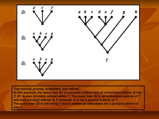 Tree mining: pruned, embedded, and refined.
In this example, the query tree Q1 is a pruned subtree and an embedded subtree of tree
T; Q1 is also (trivially) refined within T. The query tree Q2 is an embedded subtree of T
and also (trivially) refined in T; however, it is not a pruned subtree of T.
The query tree Q3 is refined by T but is neither an embedded nor a pruned subtree of
tree T.
 