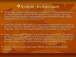 System ArchitectureSystem Architecture
 PhyloFinder stores the phylogenetic trees, which in our test implementationPhyloFinder stores the phylogenetic trees, which in our test implementation
are from TreeBASE, and the NCBI taxonomy tree in MySQL (an openare from TreeBASE, and the NCBI taxonomy tree in MySQL (an open
source relational database management system (RDBMS)) using a slightsource relational database management system (RDBMS)) using a slight
modification ofmodification of nested-set representationnested-set representation..
 Under this scheme, each nodeUnder this scheme, each node xx of a given tree is represented by an intervalof a given tree is represented by an interval
[[NxNx,, RxRx], where], where Nx (Nx ( NodeID ofNodeID of x)x), is an integer defined by a preorder walk, is an integer defined by a preorder walk
of the tree, andof the tree, and RxRx is the largest NodeID of a descendant ofis the largest NodeID of a descendant of xx (Figure 5).(Figure 5).
 NodeNode yy is an ancestor of nodeis an ancestor of node xx if and only if the interval [if and only if the interval [NyNy,, RyRy] contains] contains
the interval [the interval [Nx, RxNx, Rx], and the LCA of a set of nodes], and the LCA of a set of nodes xx1,...,1,...,xkxk is the commonis the common
ancestorancestoryy with largest NodeID. With this representation, LCA queries canwith largest NodeID. With this representation, LCA queries can
be implemented as SQL queries directly on the relational database.be implemented as SQL queries directly on the relational database.
 Taxon clusters are generated using TBMap and the NCBI taxonomyTaxon clusters are generated using TBMap and the NCBI taxonomy
database.database.
 