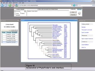 Figure 10
Screenshot of PhyloFinder's web interface.
 