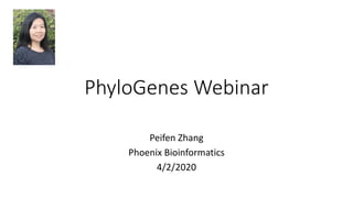 Peifen Zhang
Phoenix Bioinformatics
4/2/2020
PhyloGenes Webinar
 