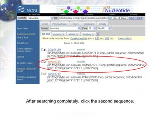 After searching completely, click the second sequence. 
