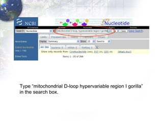 Type “mitochondrial D-loop hypervariable region I gorilla”  in the search box. 