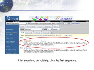 After searching completely, click the first sequence. 