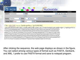 After clicking the sequence, the web page displays as shown in the figure.  You can select among various types of format such as FASTA, Genbank,  and XML. I prefer to use FASTA format and save to notepad program. 