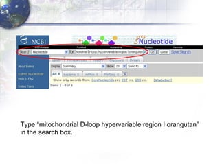 Type “mitochondrial D-loop hypervariable region I orangutan”  in the search box. 