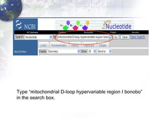 Type “mitochondrial D-loop hypervariable region I bonobo”  in the search box. 